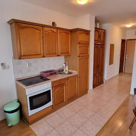 Apartman Slavica Apartment *